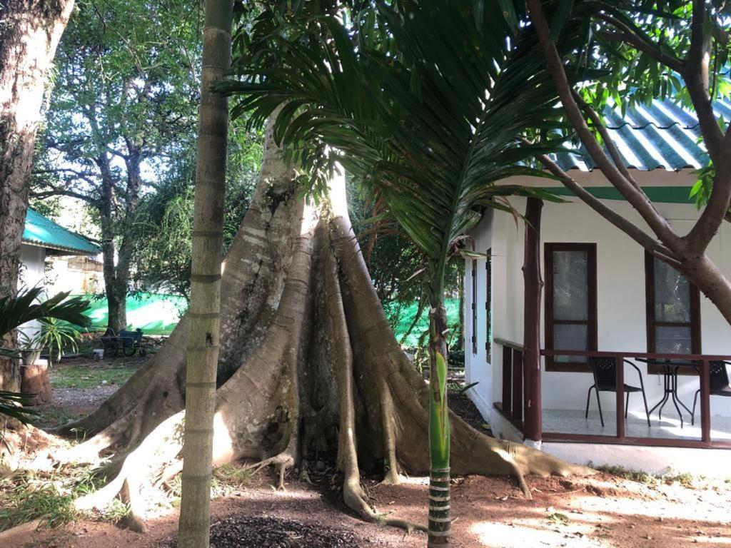 Tropical Paradise Leelawadee Resort Ко Чанг Экстерьер фото